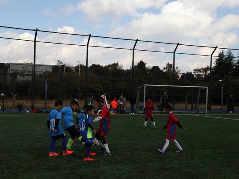 insert image